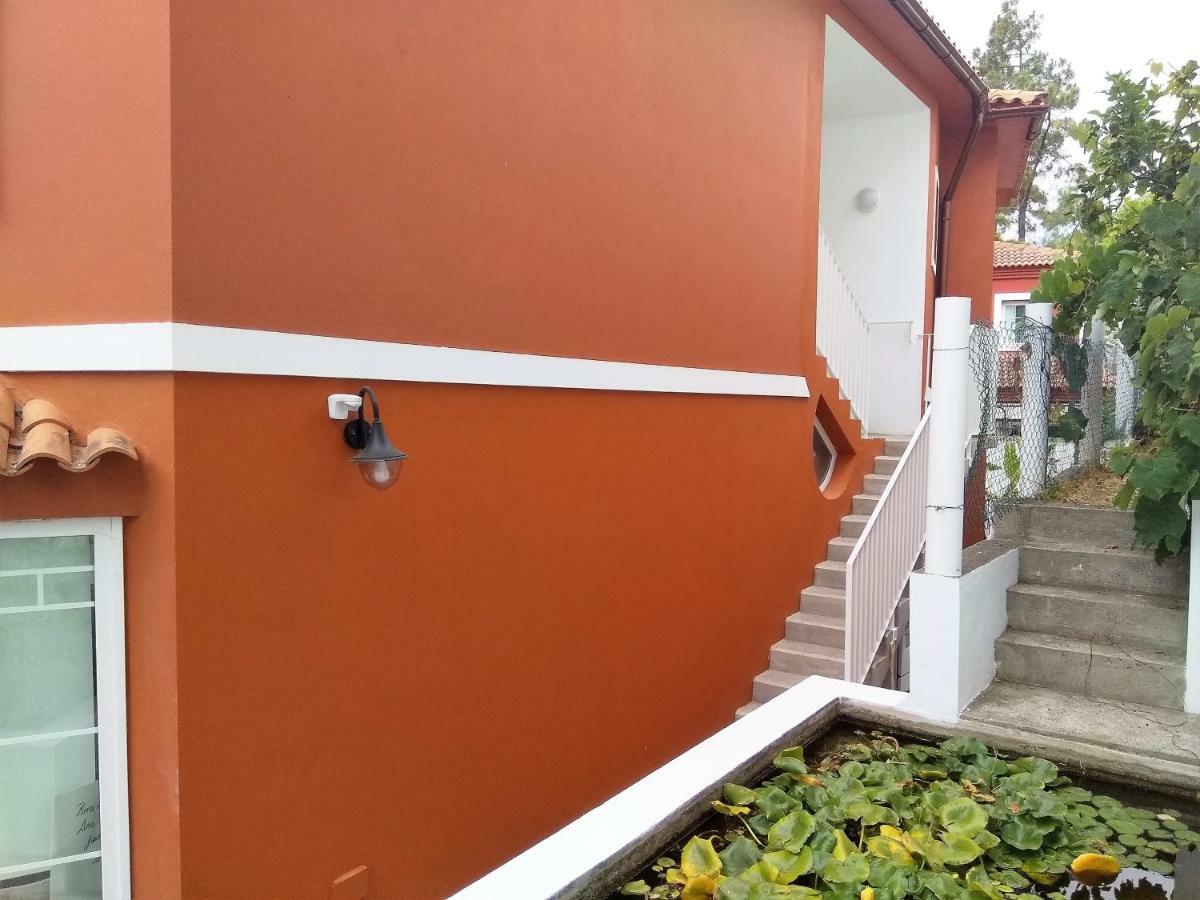 Apartamento Lemmon Tree 산타 비르지타 외부 사진