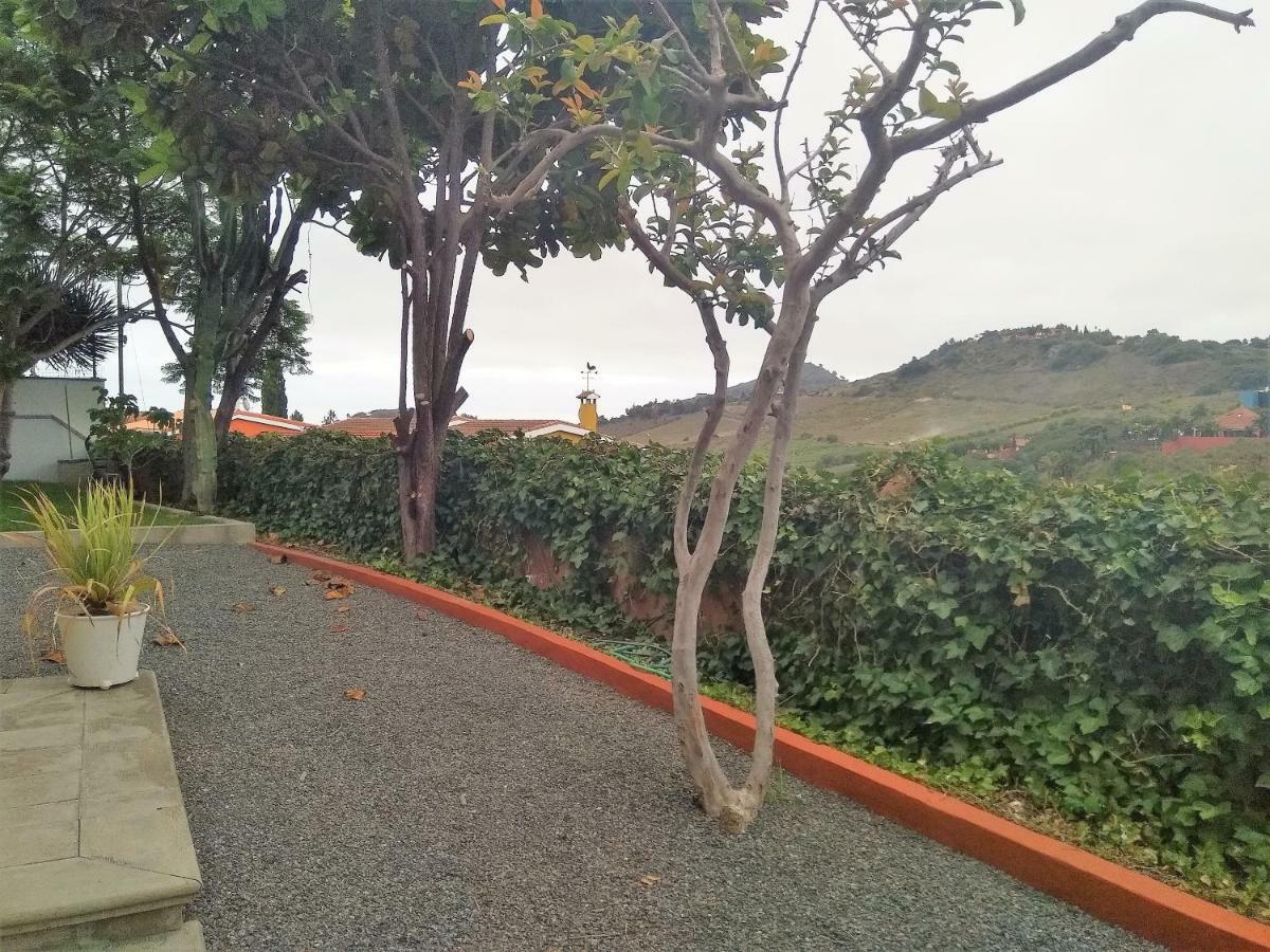 Apartamento Lemmon Tree 산타 비르지타 외부 사진